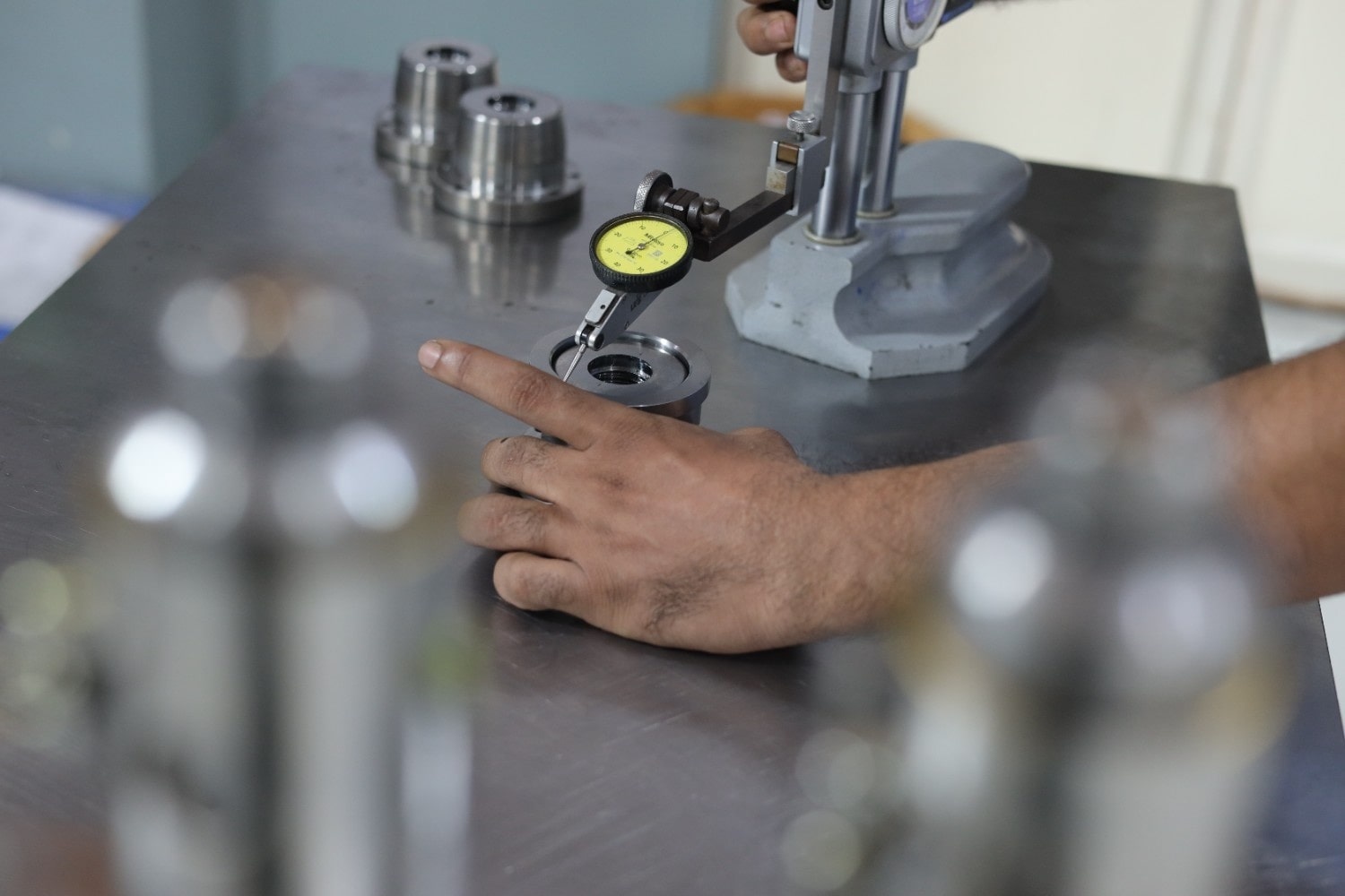 Mold Testing Facility | Leo Precision